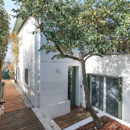 Ξενοδοχείο Magnificent House-